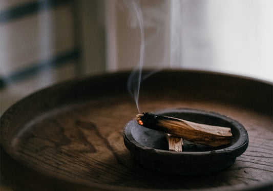 秘魯聖木大解惑!給新手的聖木使用指南