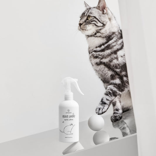 北美貓草 空間精油噴霧(貓咪家庭專用)