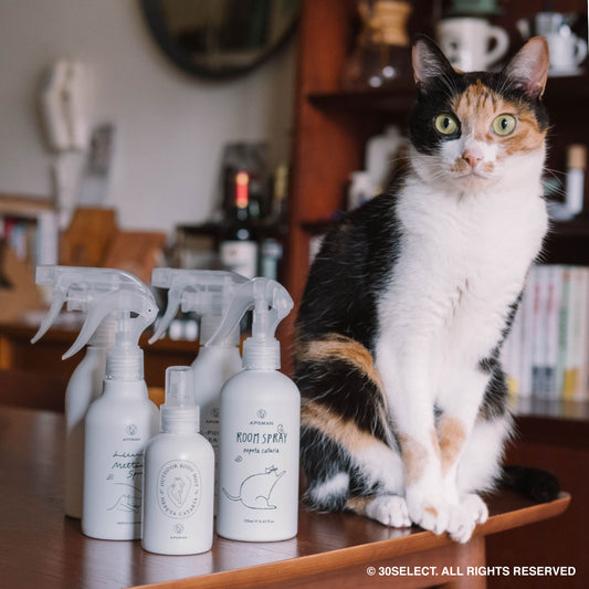 北美貓草 萬用清潔劑(寵物友善)