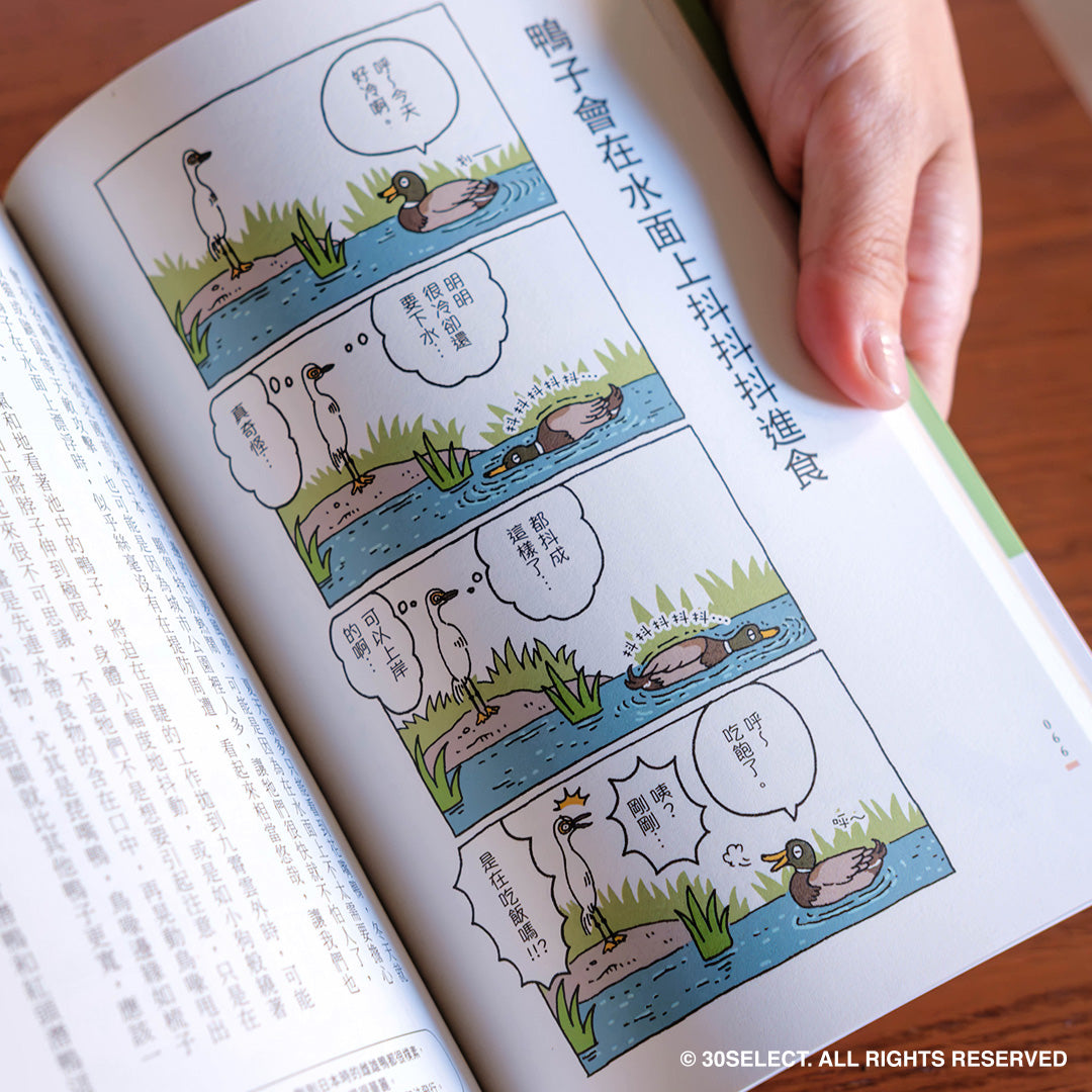 和路邊的野鳥做朋友(新裝中文版)