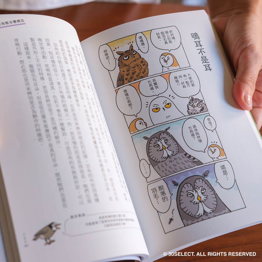 和路邊的野鳥做朋友(新裝中文版)