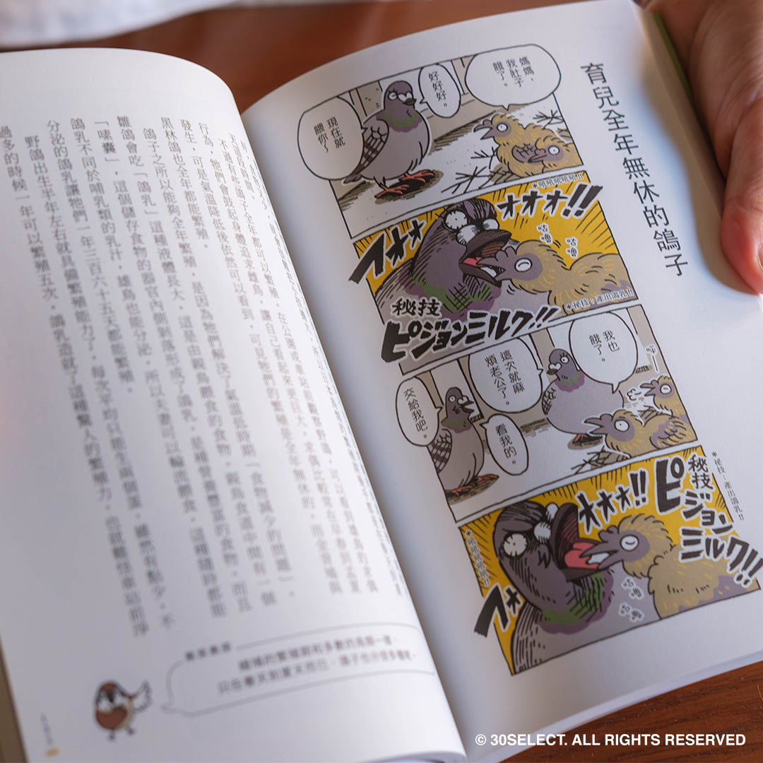 和路邊的野鳥做朋友(新裝中文版)