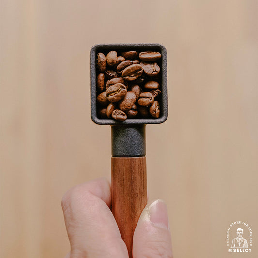 Sqoop鑄鐵咖啡勺