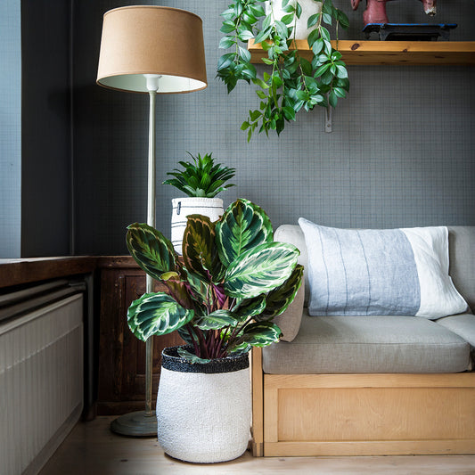 肯亞 手工編織籃(綠白條紋)