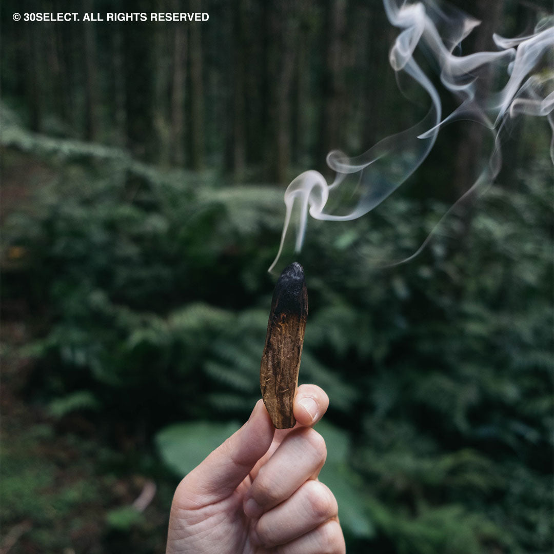 祕魯聖木Palo Santo