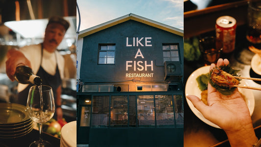 LIKE A FISH