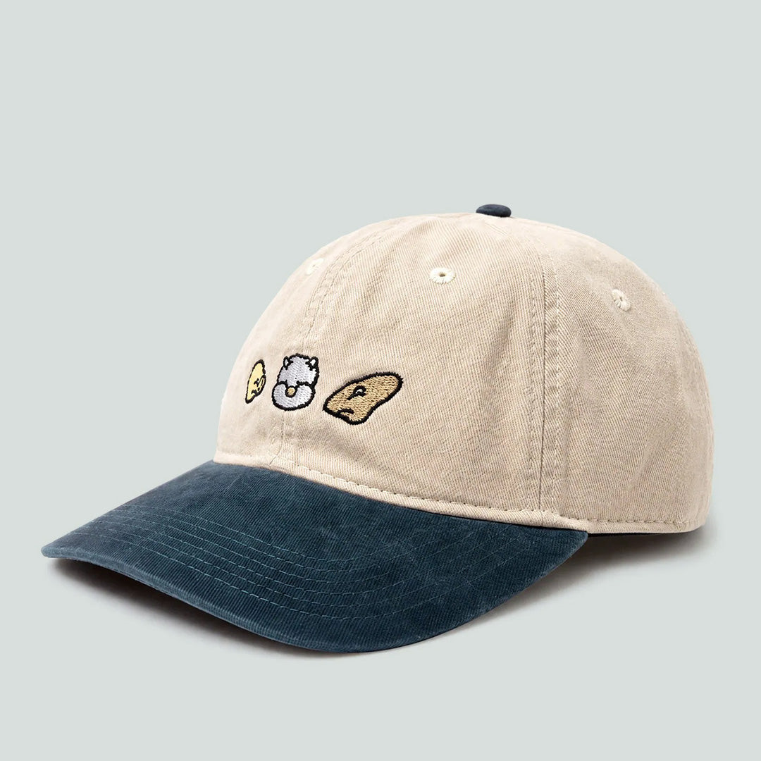 A.M.C.藝術家企劃 | 櫻井万里明 Ball Cap