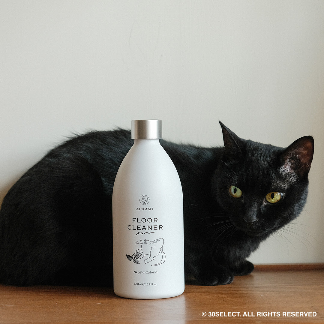 北美貓草 地板清潔劑（寵物友善）