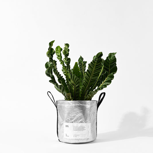 POTTED 植栽置物袋