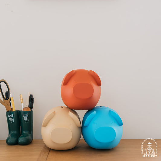 豬你有錢 🐽JUNI🐽 小豬撲滿