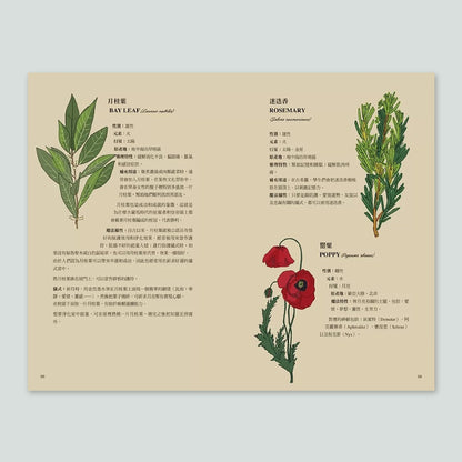 新手魔法手冊