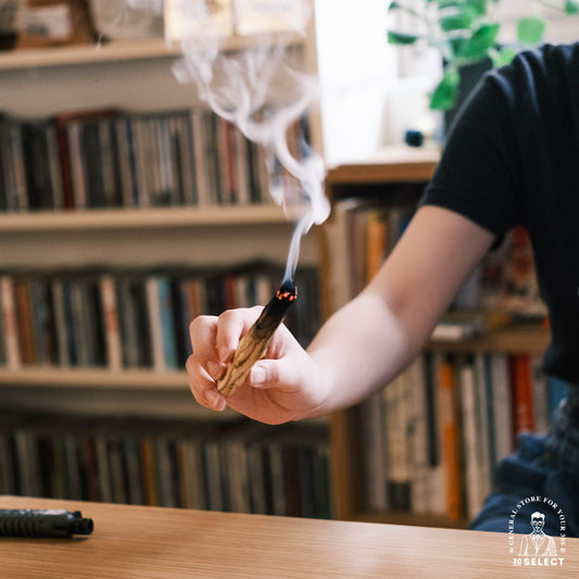 祕魯聖木Palo Santo（二入體驗組）