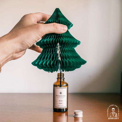 耶誕樹 擴香禮盒