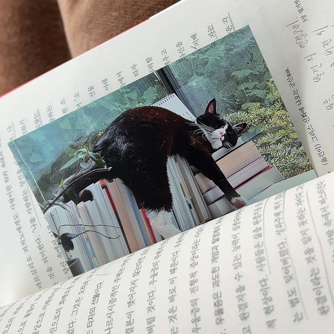 【店主漫遊選物】韓國創作者 문예진 書籤（賓士貓)