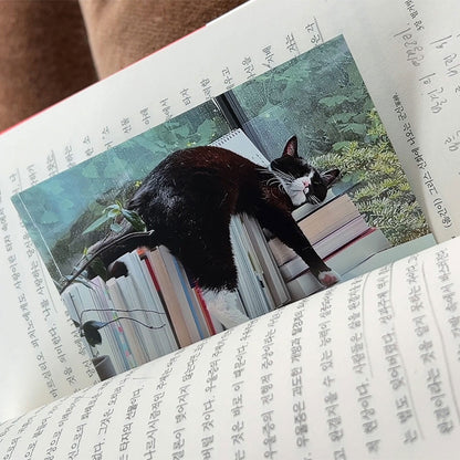 【店主漫遊選物】韓國創作者 문예진 書籤（賓士貓)